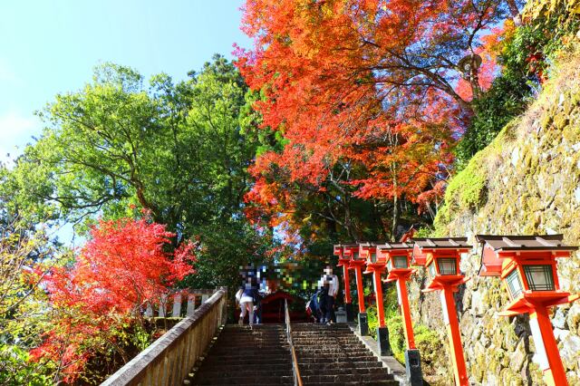 鞍馬神社秋