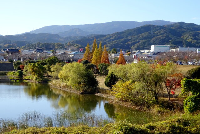12月も近い秋の日に
