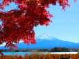 河口湖秋