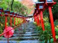 貴船神社秋