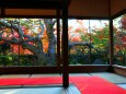 宝泉院秋