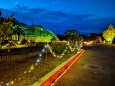 京都府立植物園イルミネーション