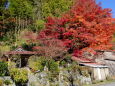 山里の小さな神社と紅葉