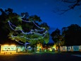 京都府立植物園イルミネーション