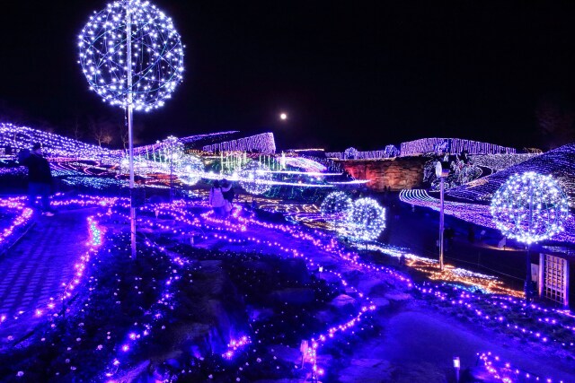 まんのう公園-3