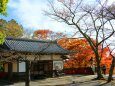 鞍馬寺