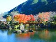 東紀州12月でも紅葉