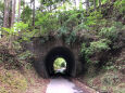 田口線跡トンネル