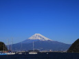 ヨットハーバーからの富士山