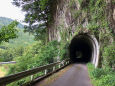 田口線跡ワイルドなトンネル