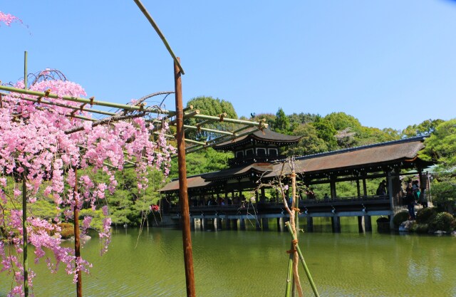平安神宮春