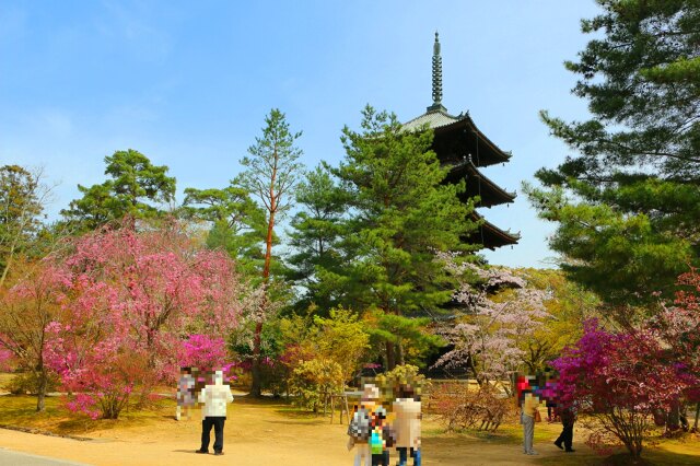 仁和寺春