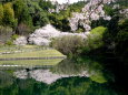 静かな山里の公園