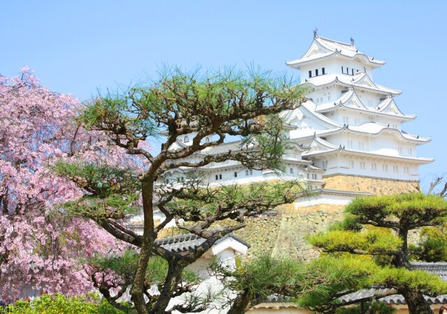 姫路城春