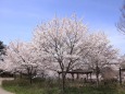 まんのう公園