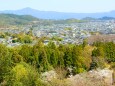 春の京都の町