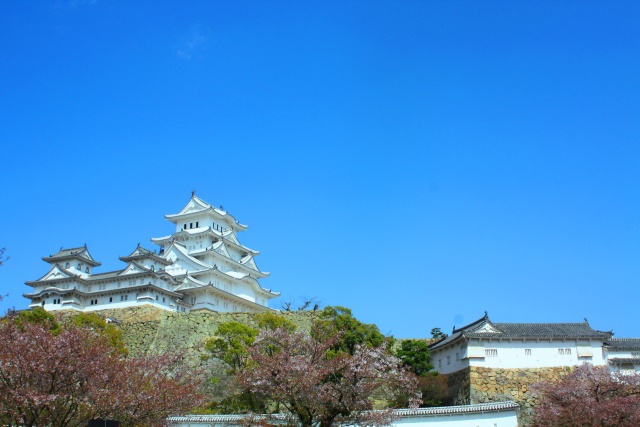 桜の散った姫路城