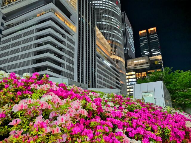 名古屋駅前春の夜