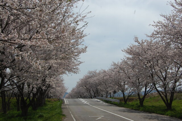 拝啓、坂の下から