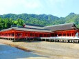 新緑の厳島神社