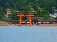 新緑の厳島神社