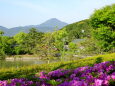 さつき咲く鏡山公園から遥か浮岳