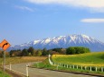 菜の花と岩手山