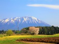 菜の花と岩手山2