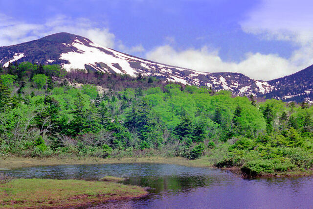 睡蓮沼と八甲田山～1974年