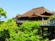 新緑の清水寺