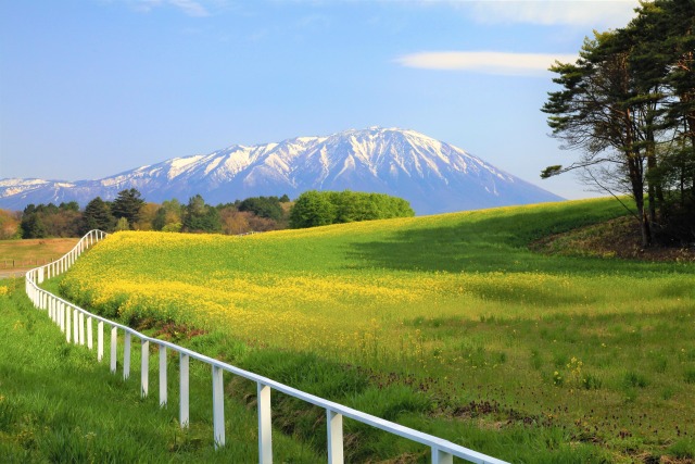 春の小岩井農場