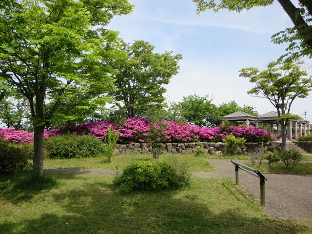 城壁跡？ 2022年