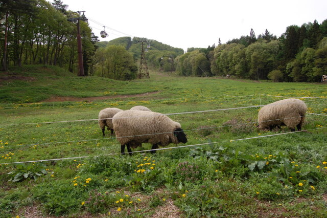 見下ろせば おお！ 2022年