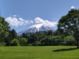 新緑と富士山