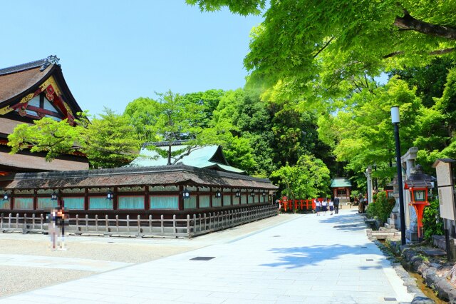 初夏の八坂神社