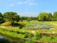 初夏の後楽園