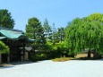 初夏の高台寺