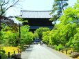 初夏の南禅寺