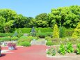 初夏の京都府立植物園