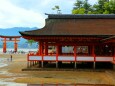 初夏の厳島神社