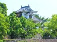 新緑の岡山城