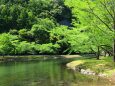 初夏の水辺