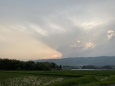 雨がやって来た