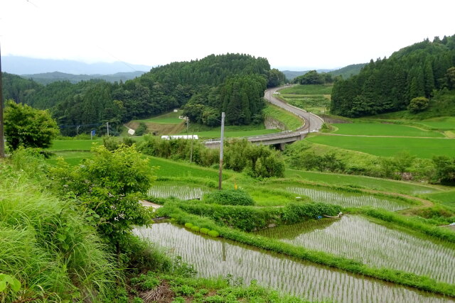 山間部梅雨の季節