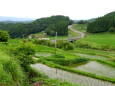 山間部梅雨の季節