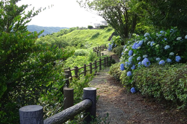 いろは島展望台の遊歩道