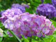 RndList[3]