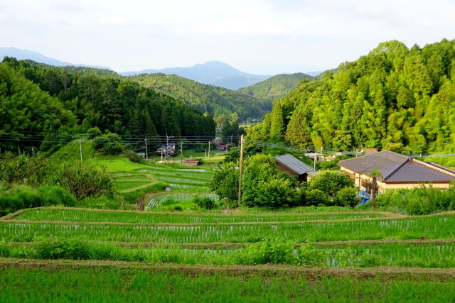 梅雨が明ける頃 山村棚田