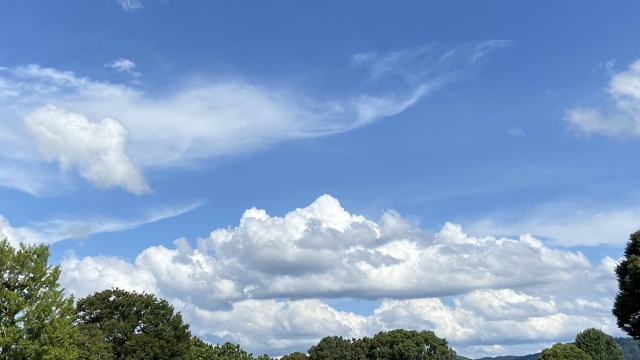 百年公園の雲