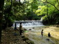 夏休み 涼しい川遊び